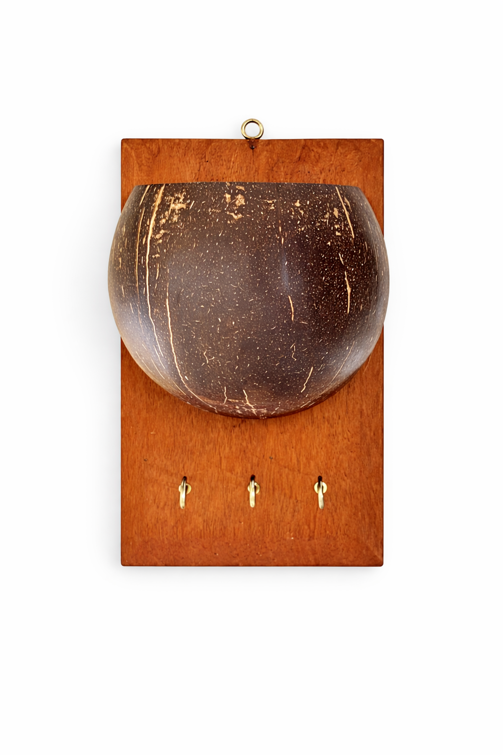 Wall-Mounted Planter