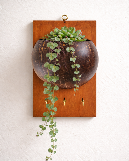 Wall-Mounted Planter