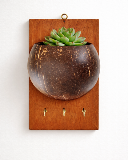 Wall-Mounted Planter