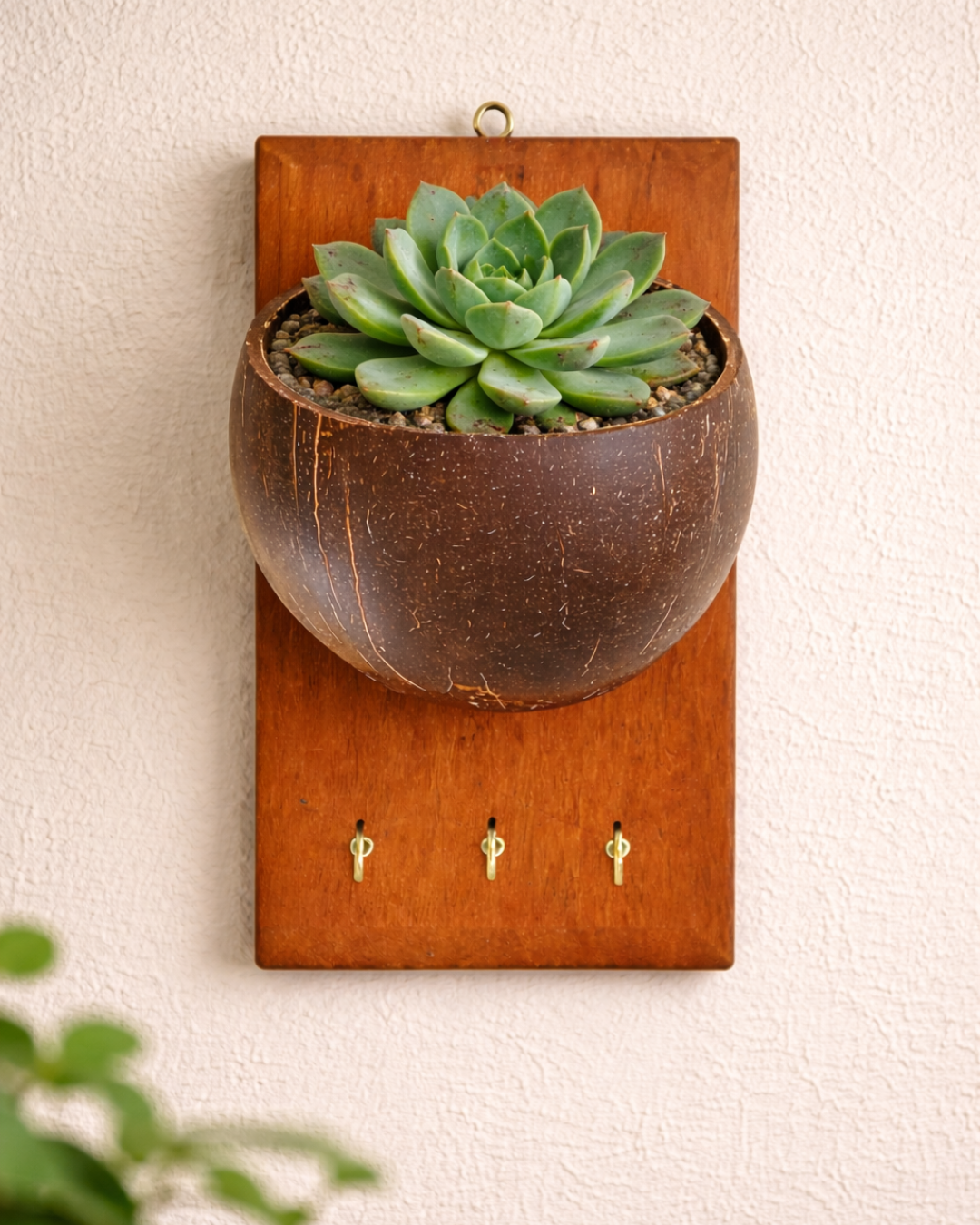 Wall-Mounted Planter